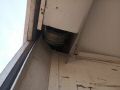 IMG_20260808_110825_686.jpg