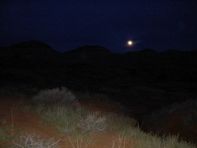 PICT1049.JPG