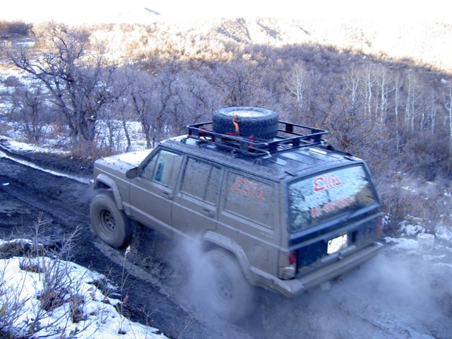 010.JPG